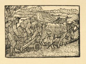 L'aratura